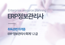 erp